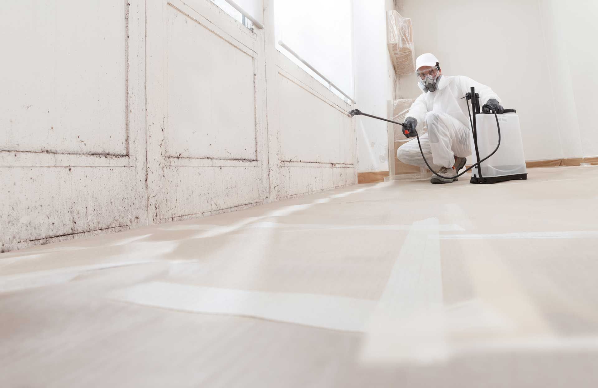 A professionally worn worker spraying products to remove mold with a backpack sprayer at a house