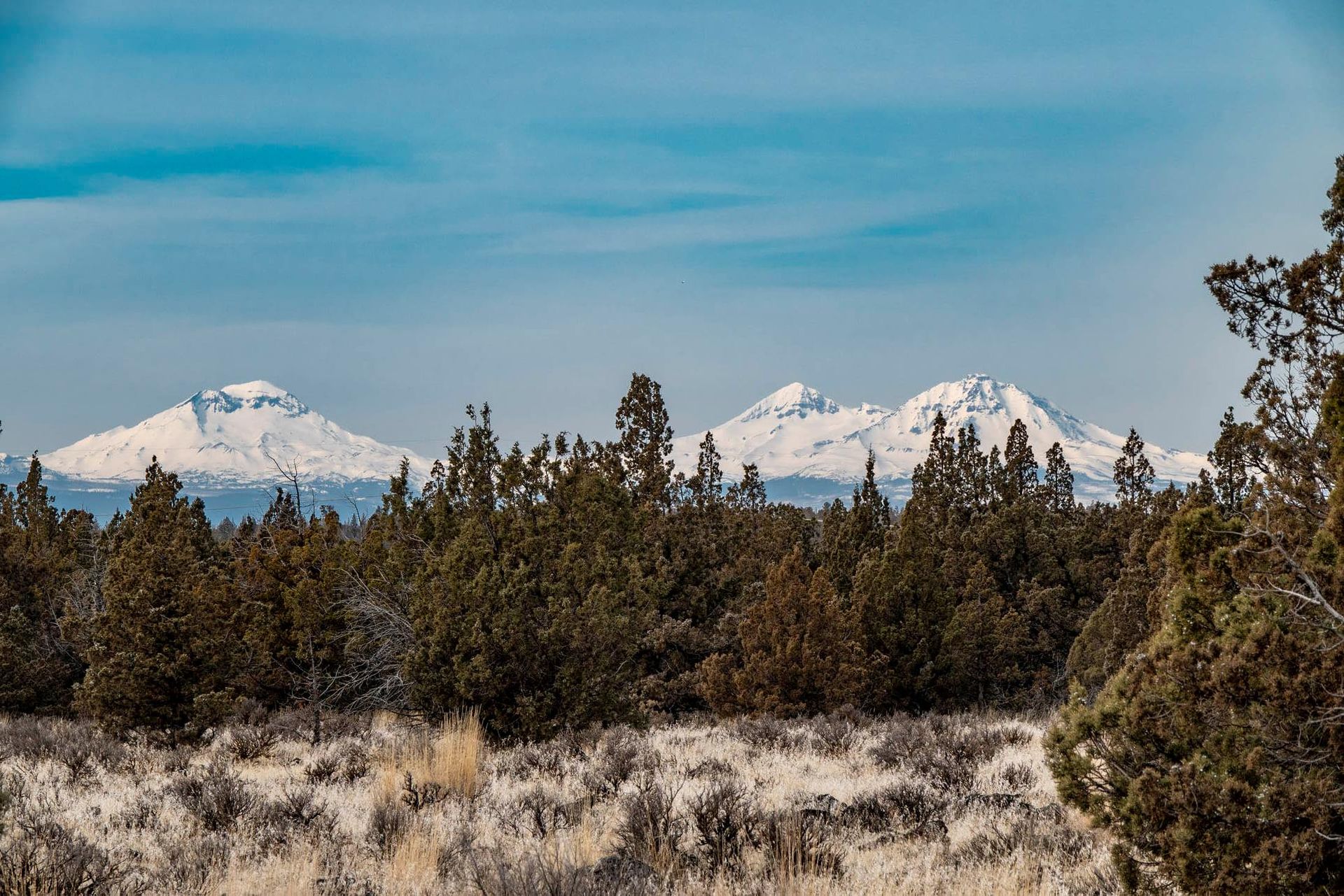 There are mountains in the background and trees in the foreground.