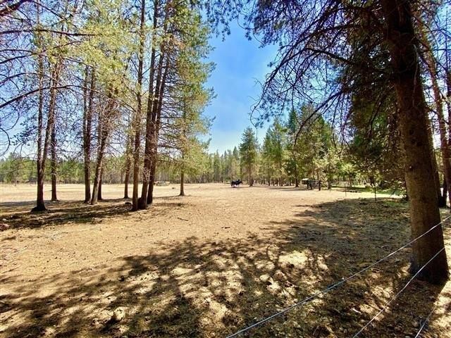 A field surrounded by trees and a barbed wire fence