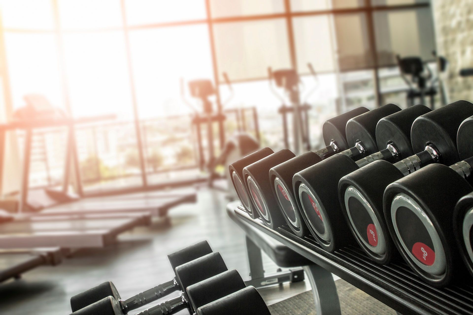 Bright, spacious gym with dumbbells, treadmills, and natural light filling the room.