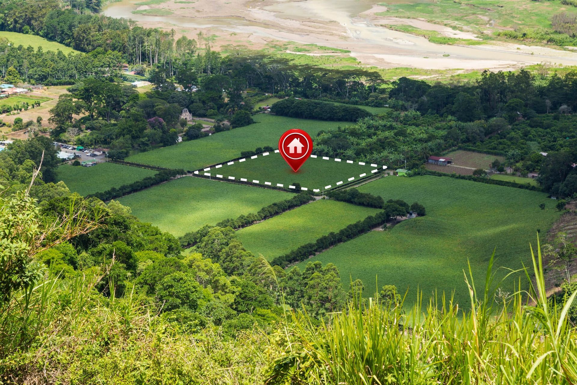 Property's Value in South Auckland