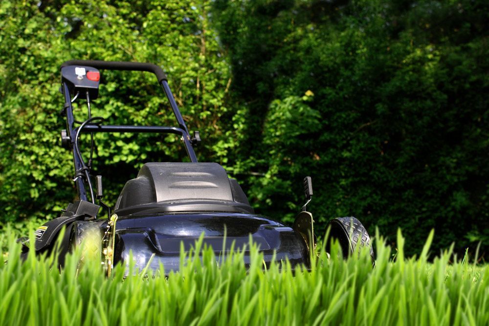 A Lawn Mower is Cutting Through a Lush Green Field of Grass — Diamond Service Centre In Lismore, NSW