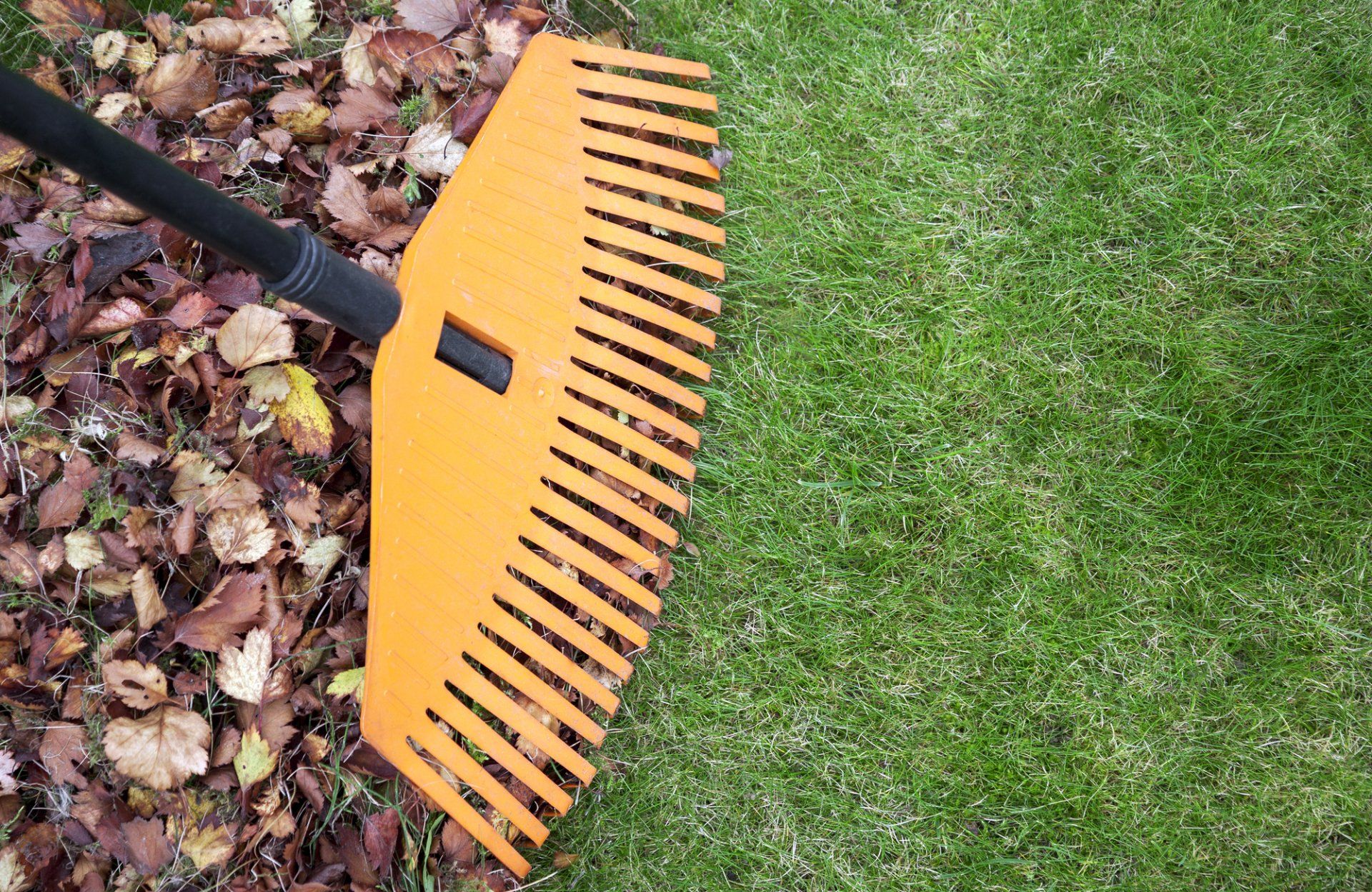 Fall Cleanups in Saugus, MA | Top Notch Services Inc.