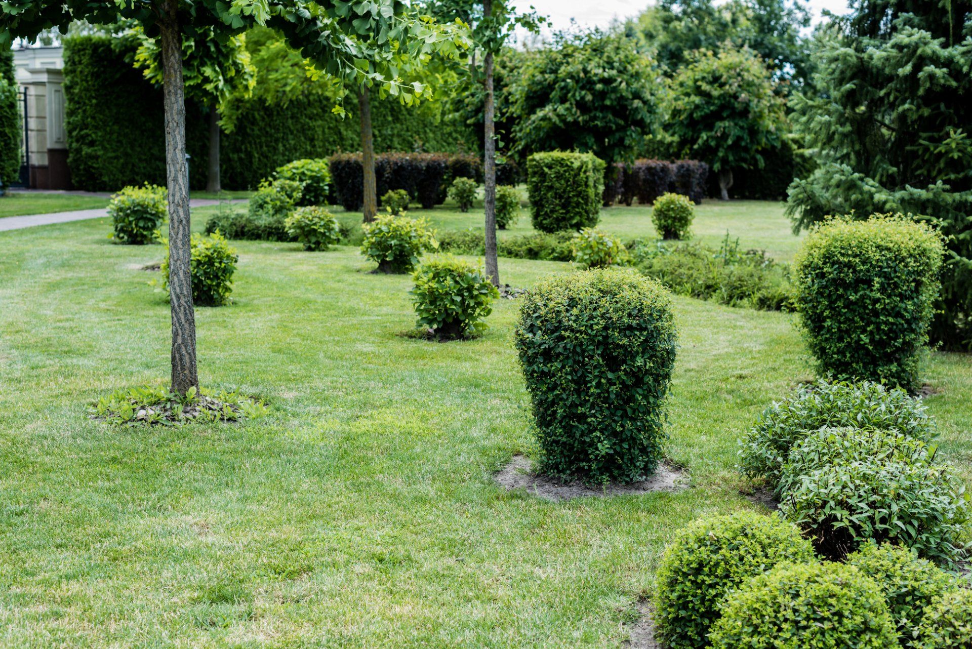 Hedges in Saugus, MA | Top Notch Services Inc.