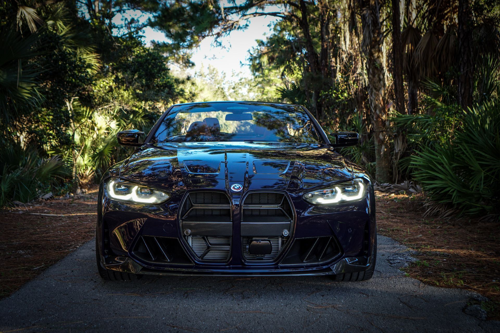 Dark blue BMW sports car, front view, parked on a paved road, surrounded by trees.