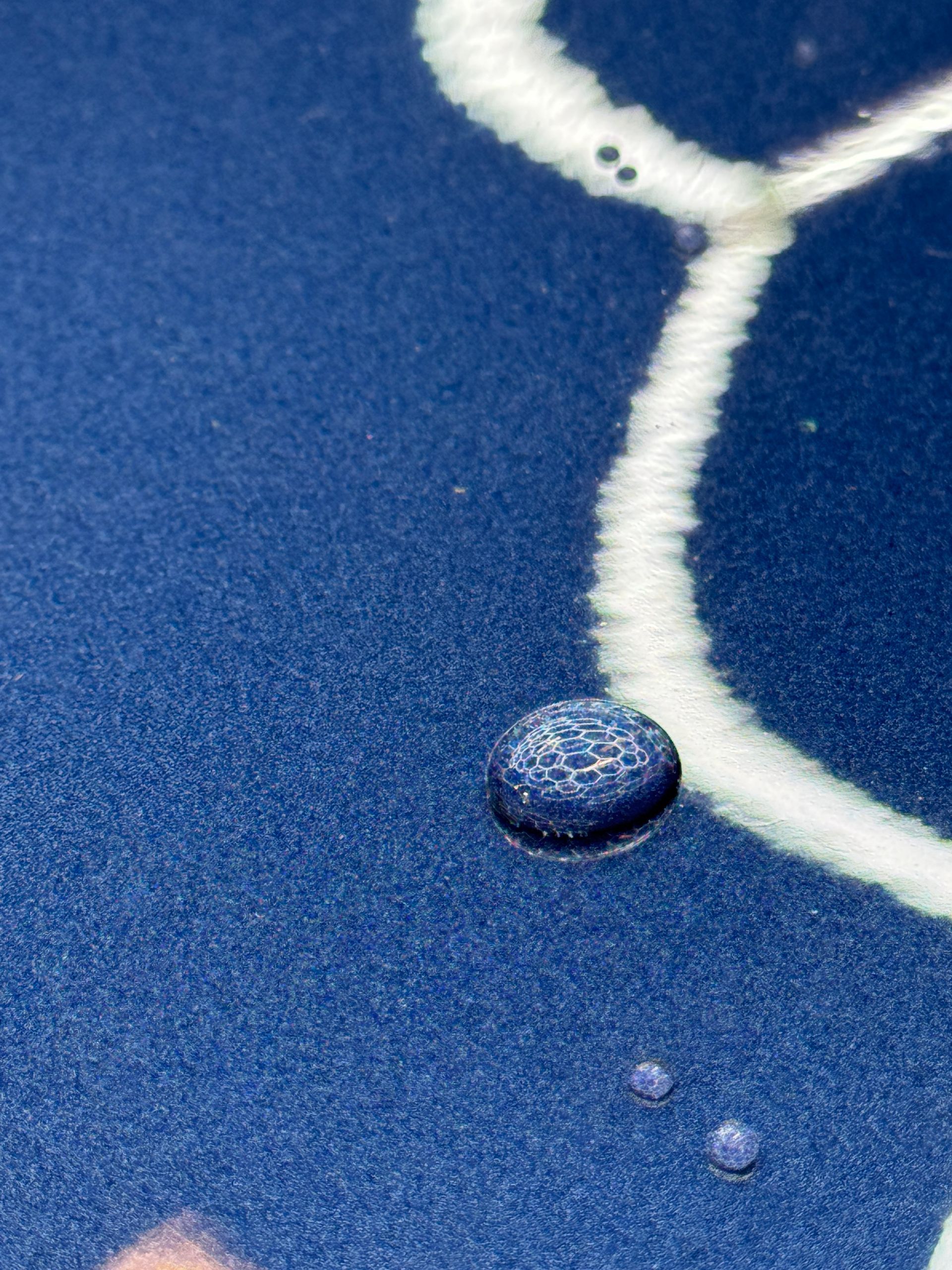 Blue surface with white line and water droplets.