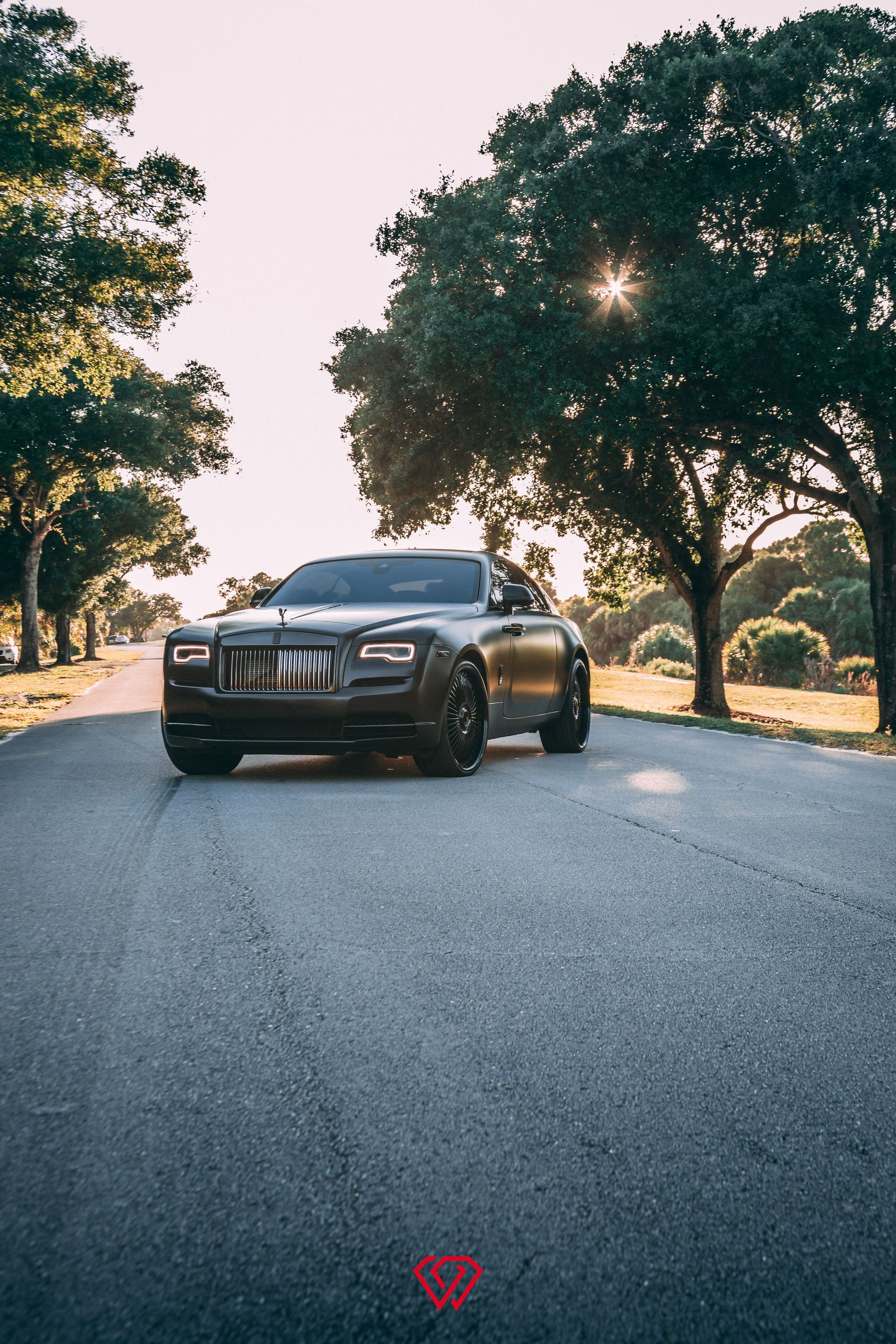 Black Rolls-Royce parked on a tree-lined road with sunlight shining through the branches.
