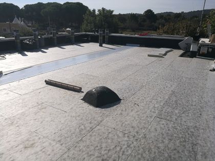 guaina per tetti