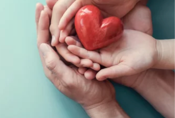 Supportive group space led by Mya Boren Wellness