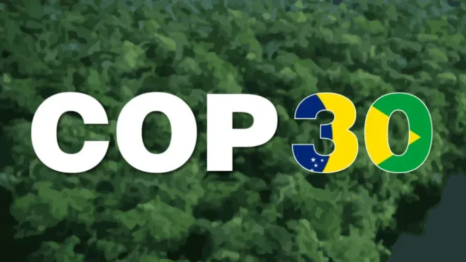 Policial 30 está escrito na frente de uma floresta