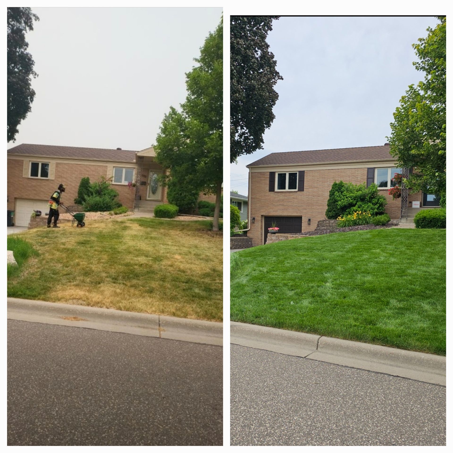 A before and after picture of a lawn being mowed in front of a house.