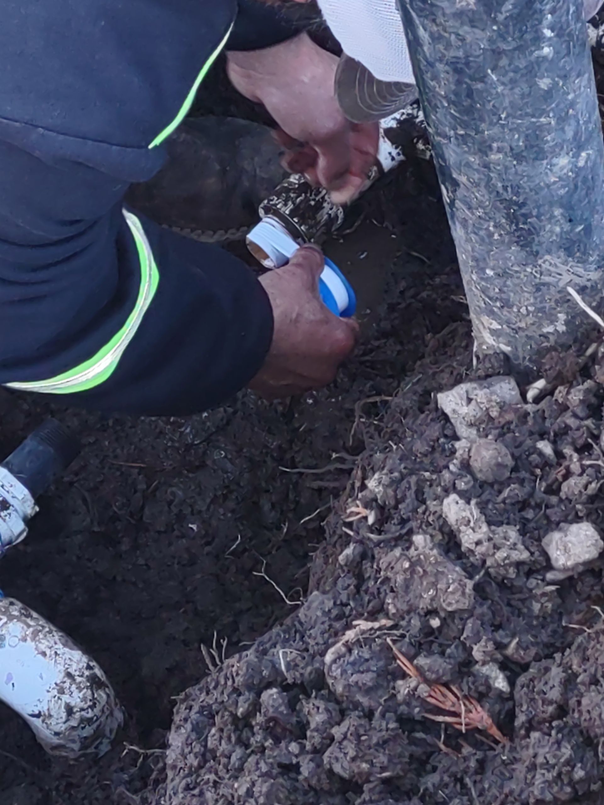 Person repairing a broken pipe in a muddy trench beside a large tree trunk
