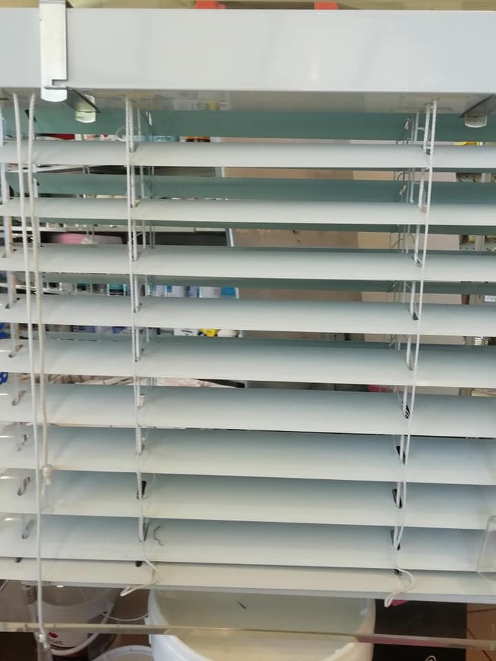 zanzariera in una finestra