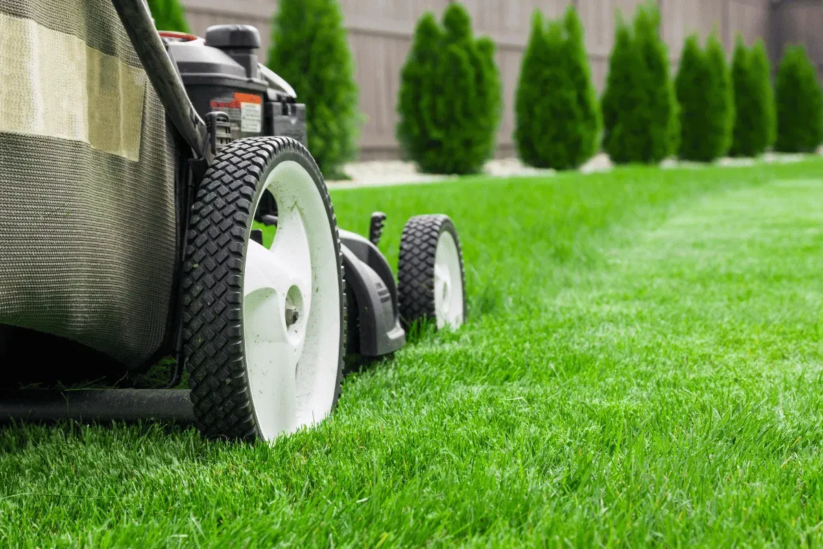 kentucky homeowner's lawn care calendar