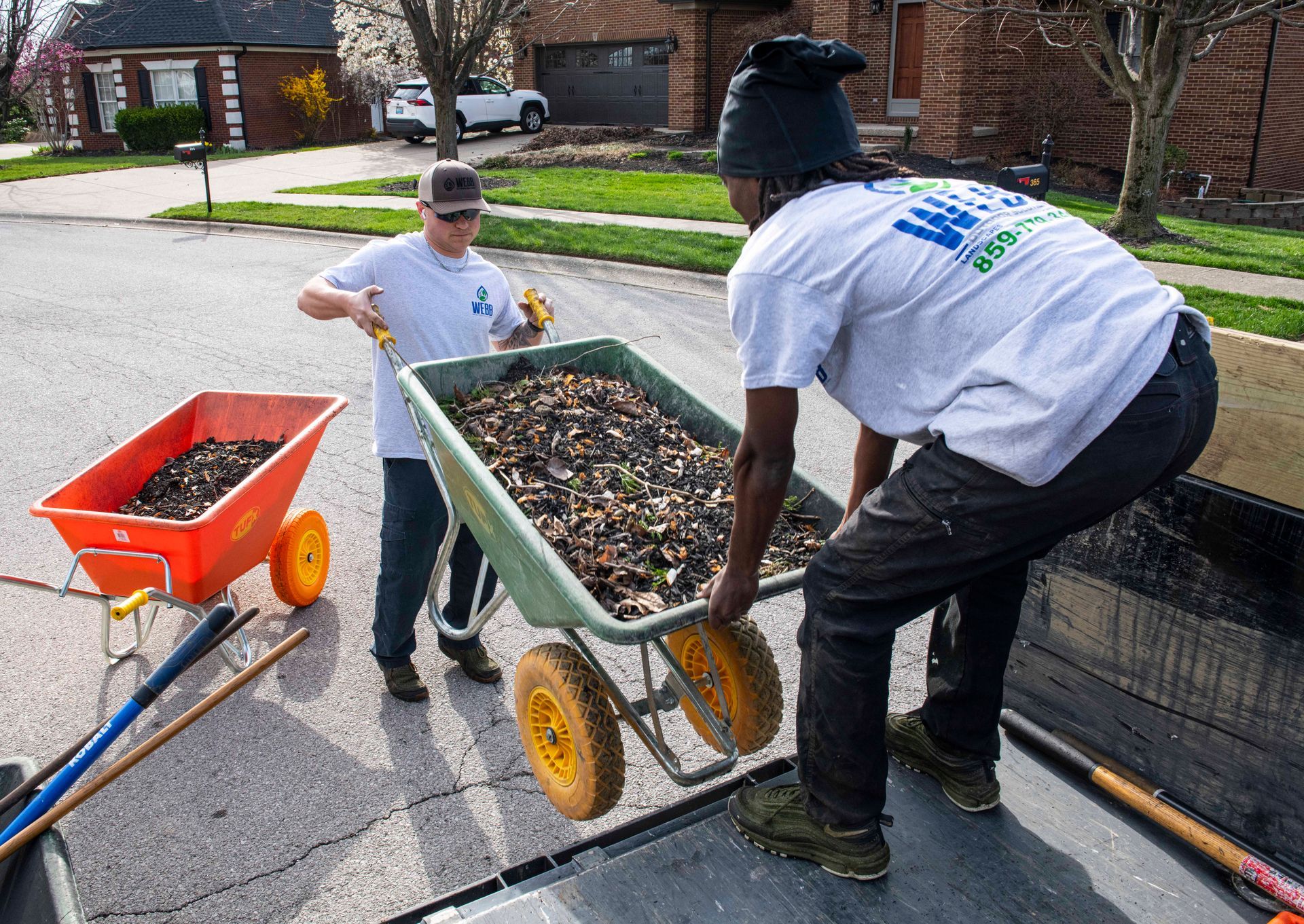 landscape clean ups in richmond ky