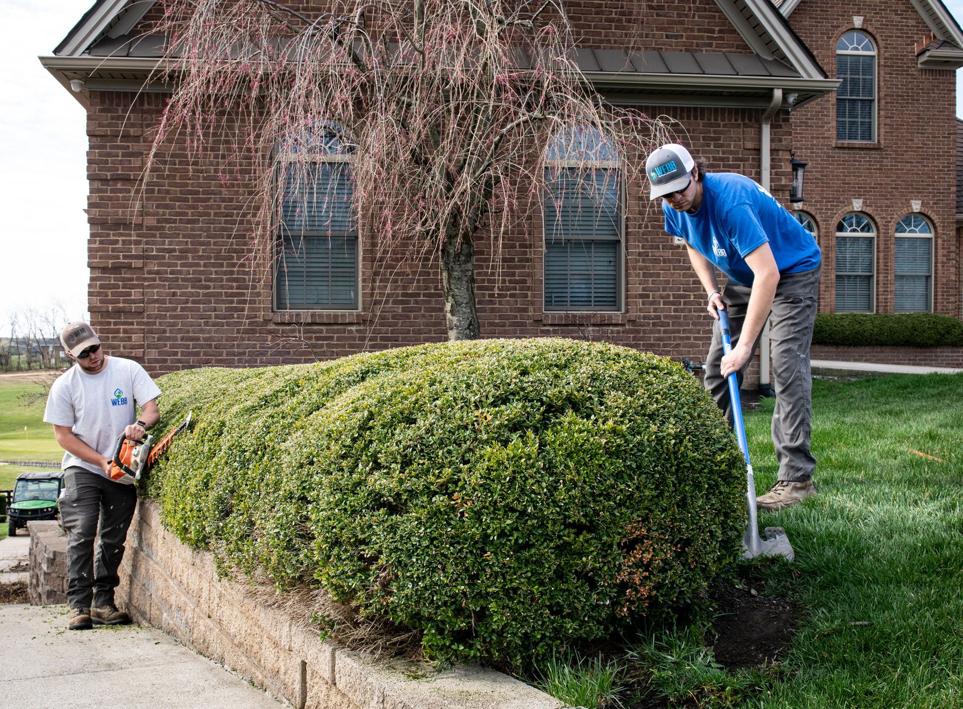 tree and shrub fertilization in richmond ky