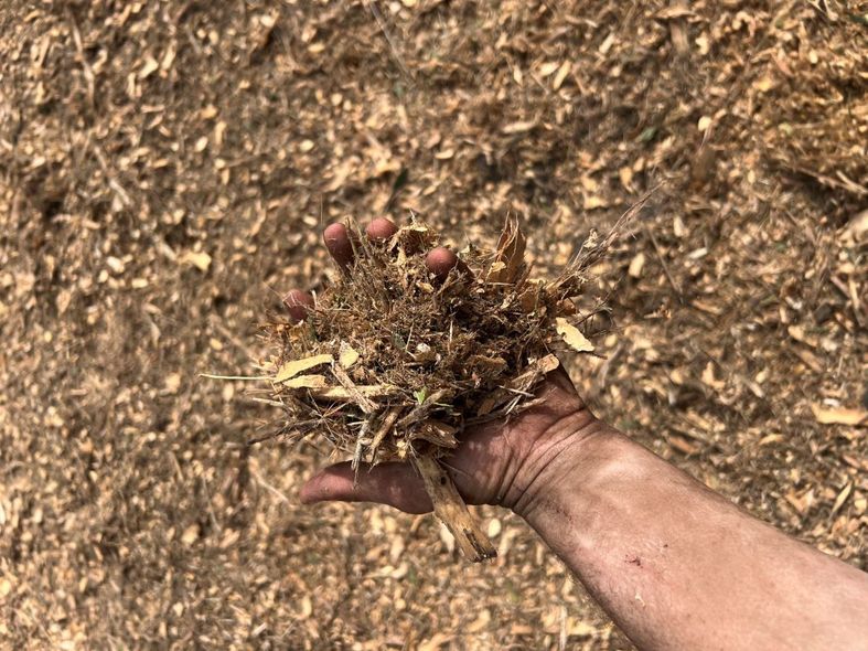 Hand holding a pile of brown mulch with a backdrop of more mulch.