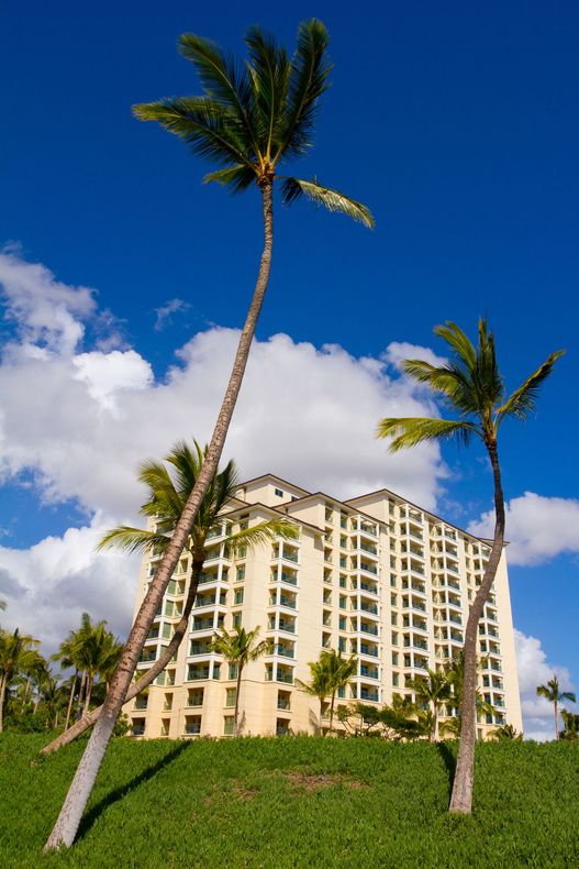 A tall building with palm trees in front of it