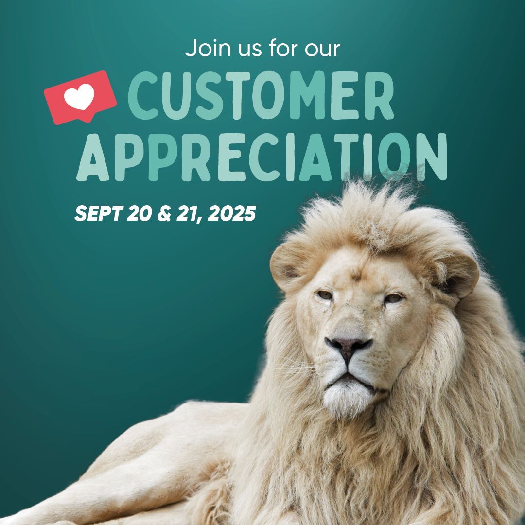 customer appreciation with lion