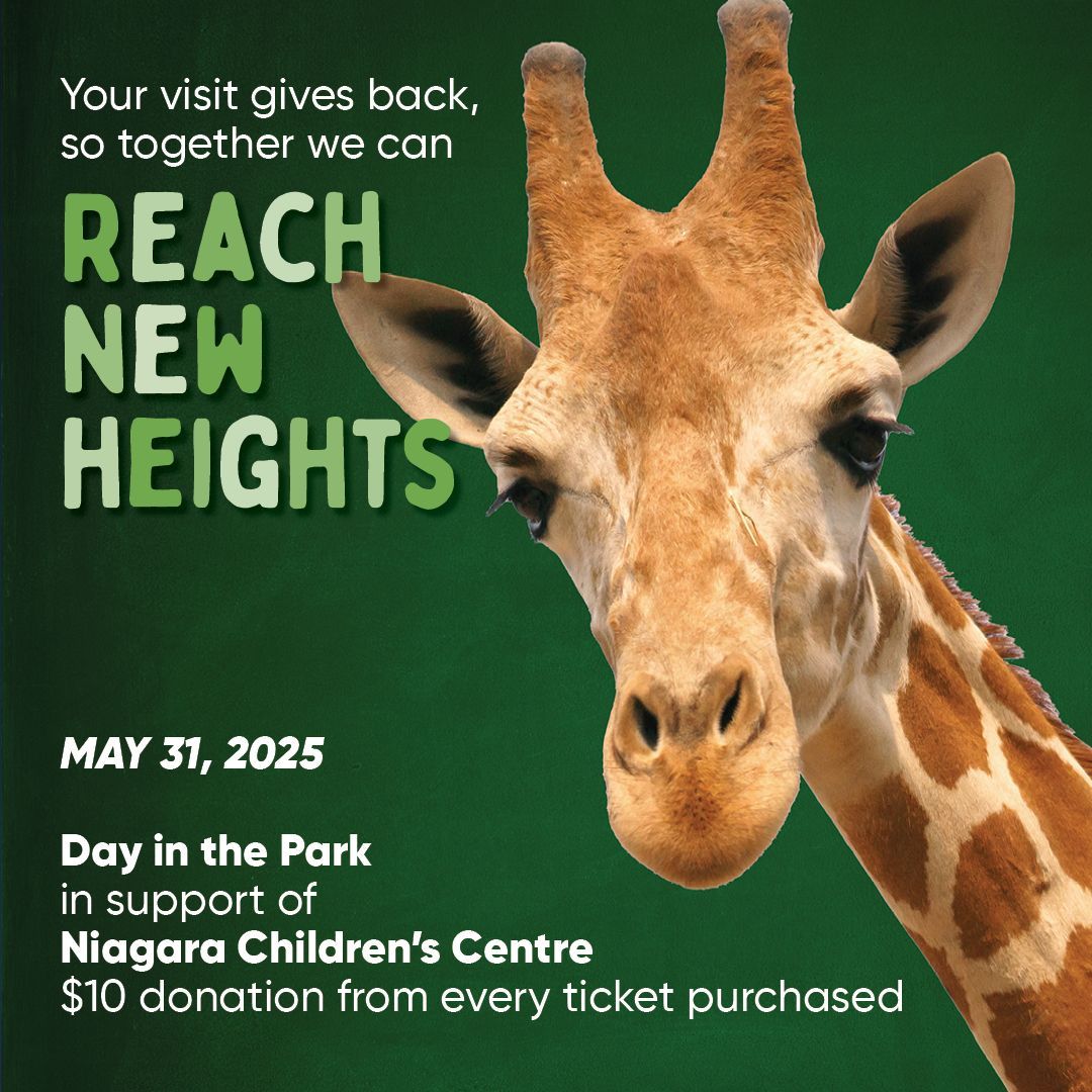 niagara childrens centre day