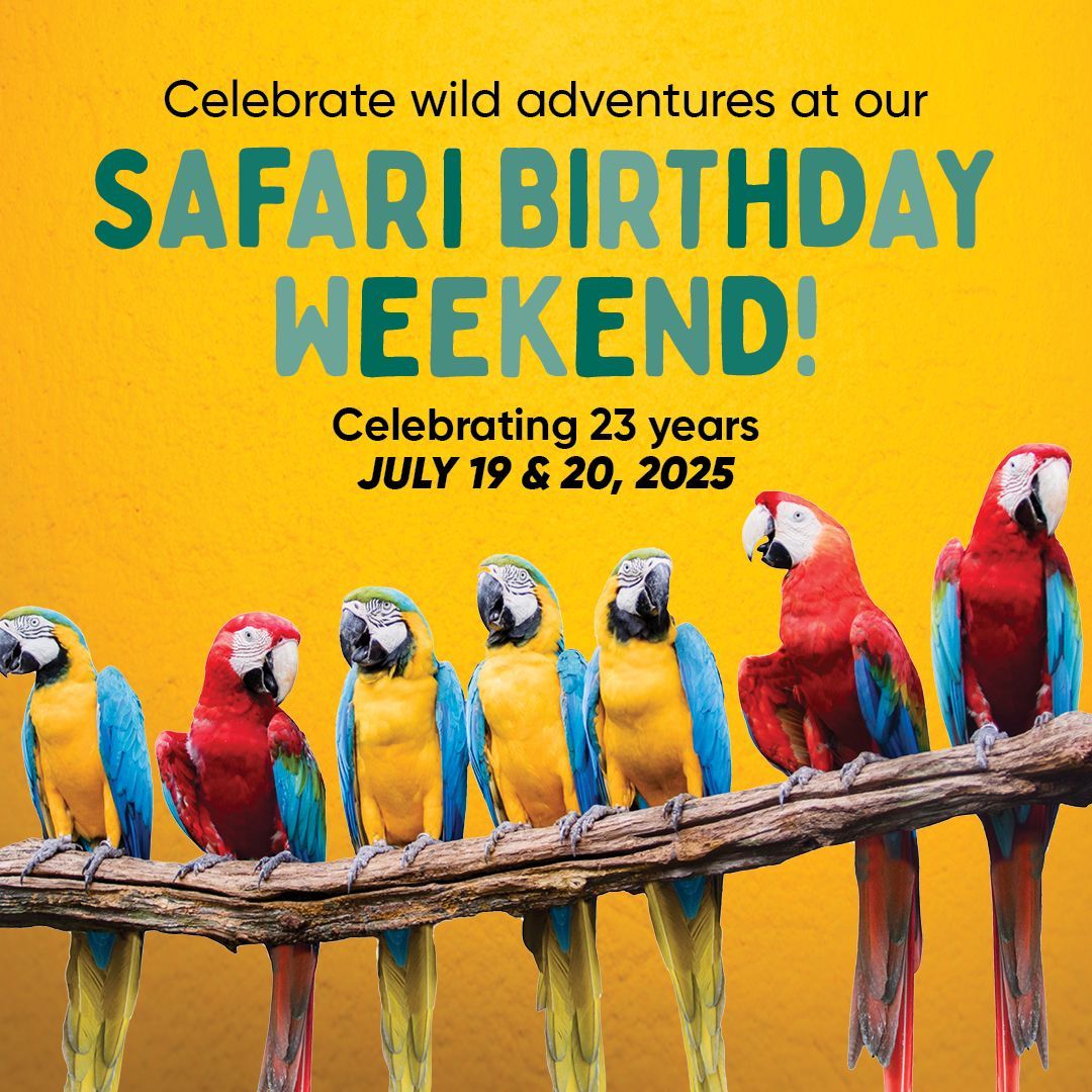 safari birthday weekend with birds