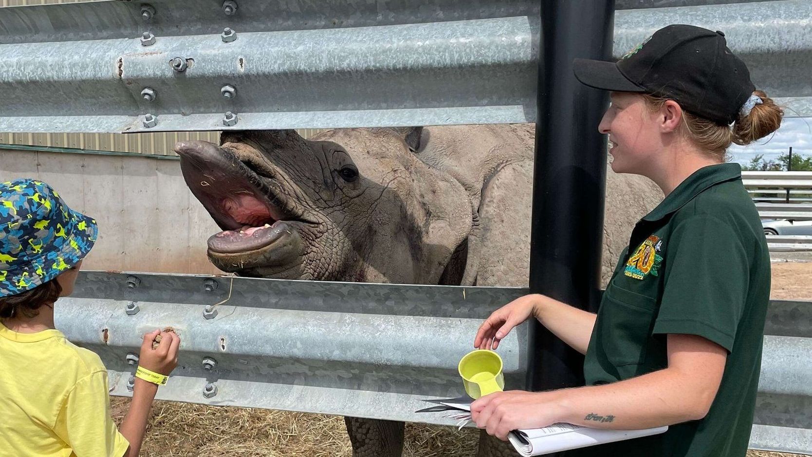 kid feeding a rhino at a behind the scenes experience in a niagara falls zoo attractions