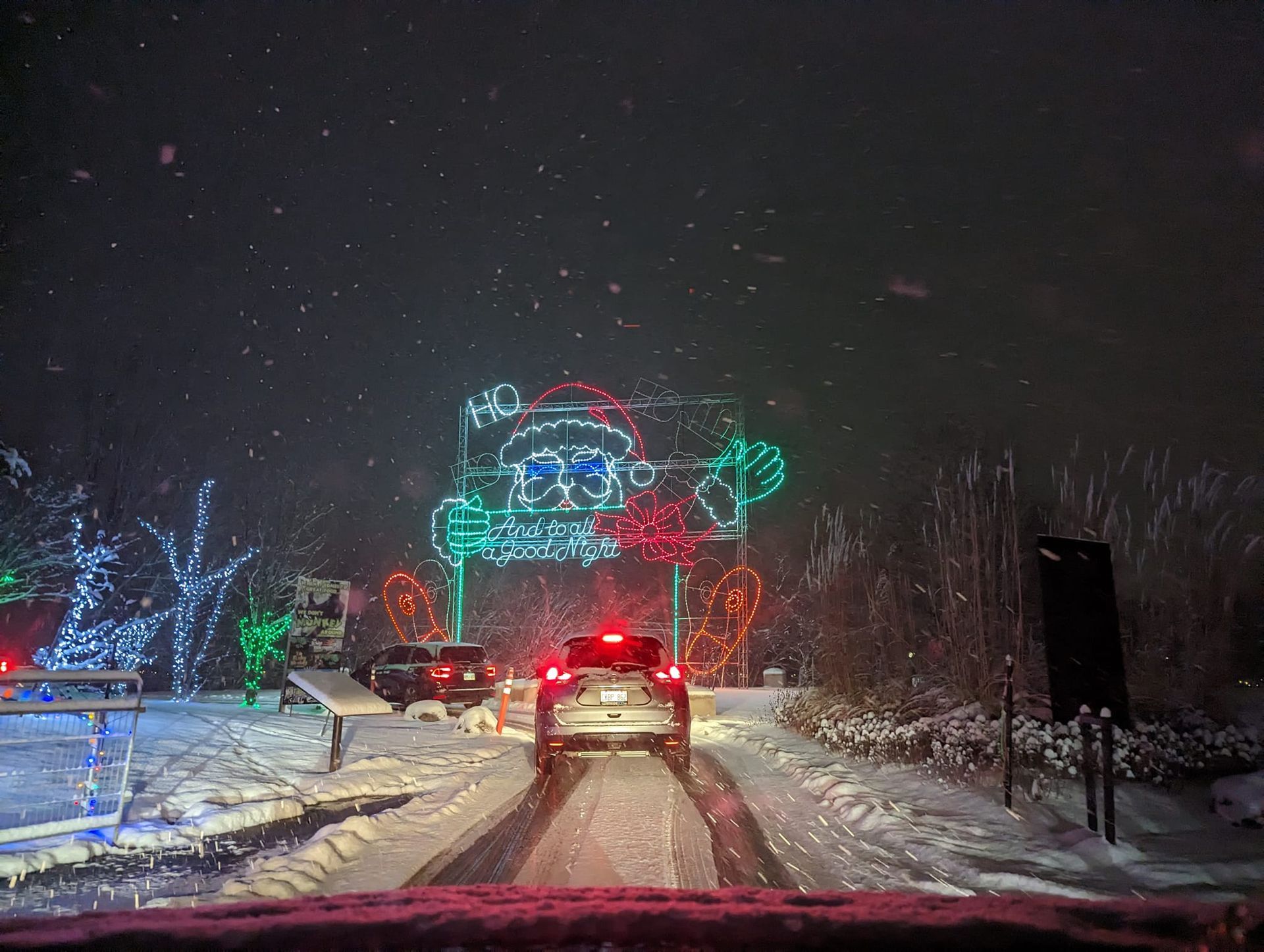 safari lights display at a niagara falls zoo attraction