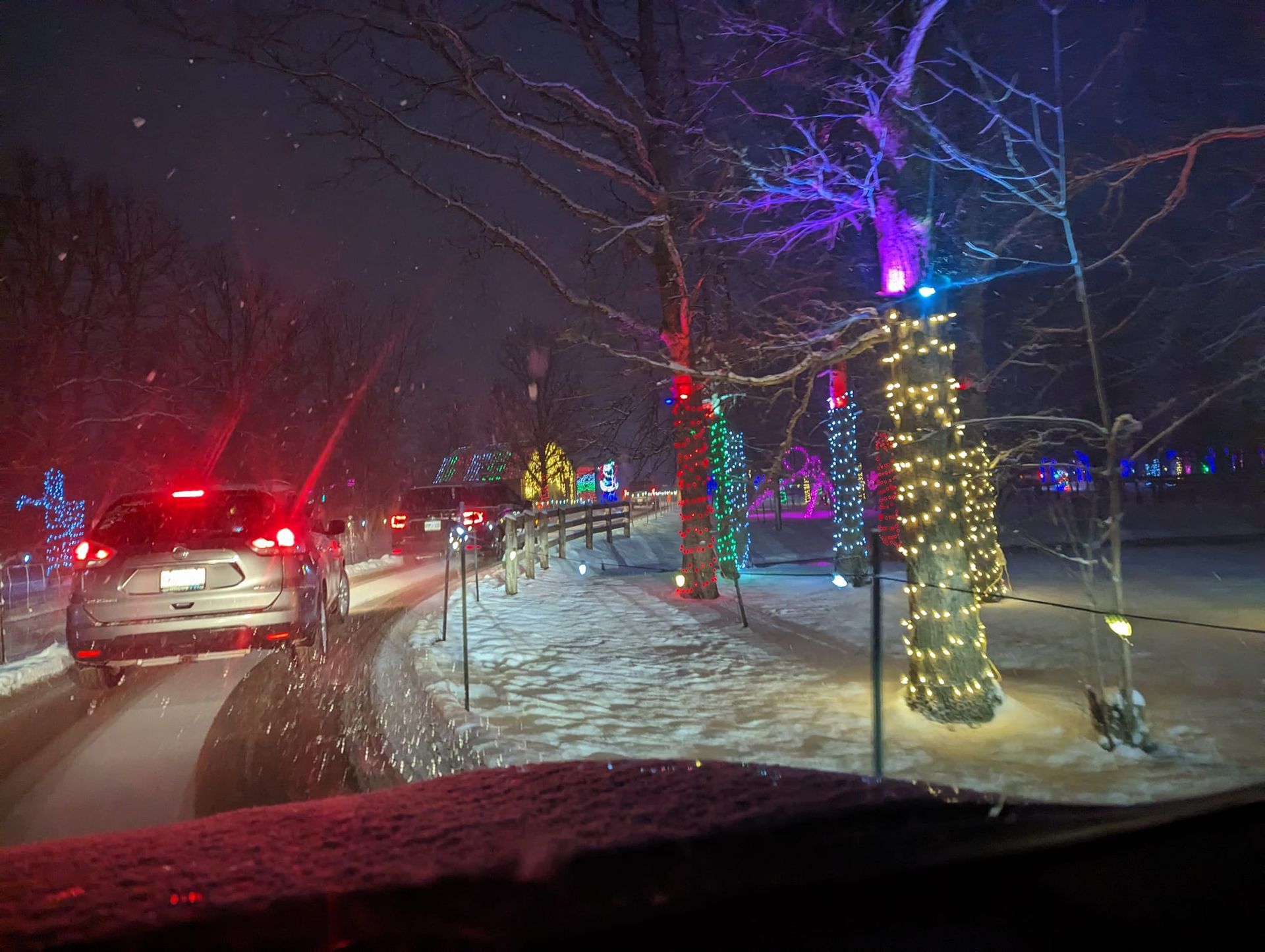 safari lights display at a niagara falls zoo attraction