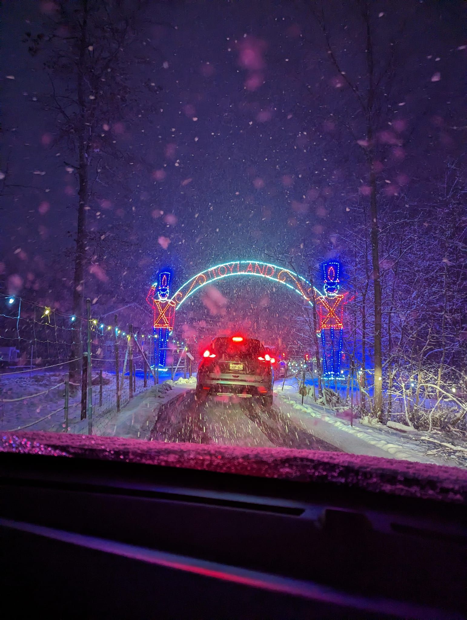safari lights display at a niagara falls zoo attraction