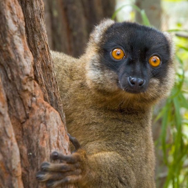 Safari Niagara | Get Closer at one of Ontario's Favourite Zoos