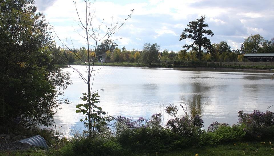 a large body of water surrounded by trees and grass in a niagara wildlife conservation