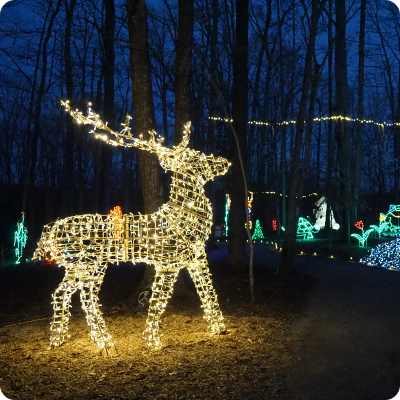 safari lights display at a niagara falls zoo attraction