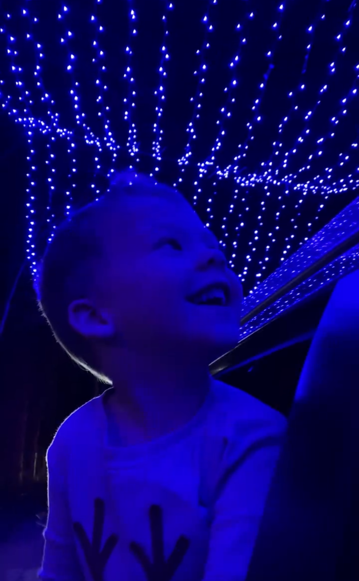 kid in a car going through the safari niagara lights experience