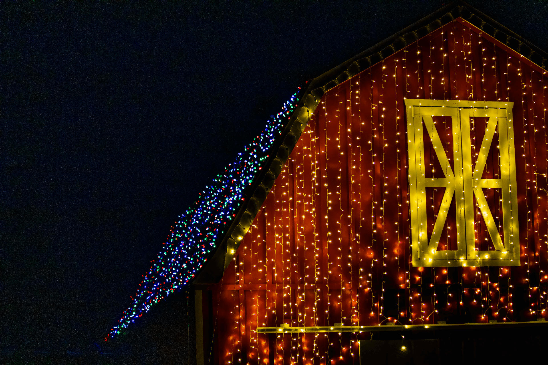 safari lights display at a zoo in niagara falls