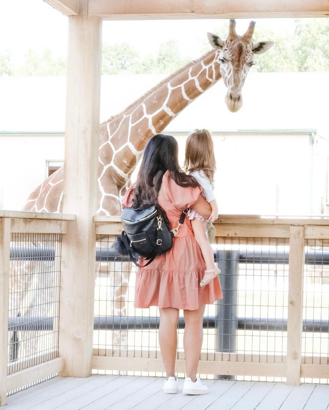woman holding kid which is feeding giraffe at interactive zoo niagara