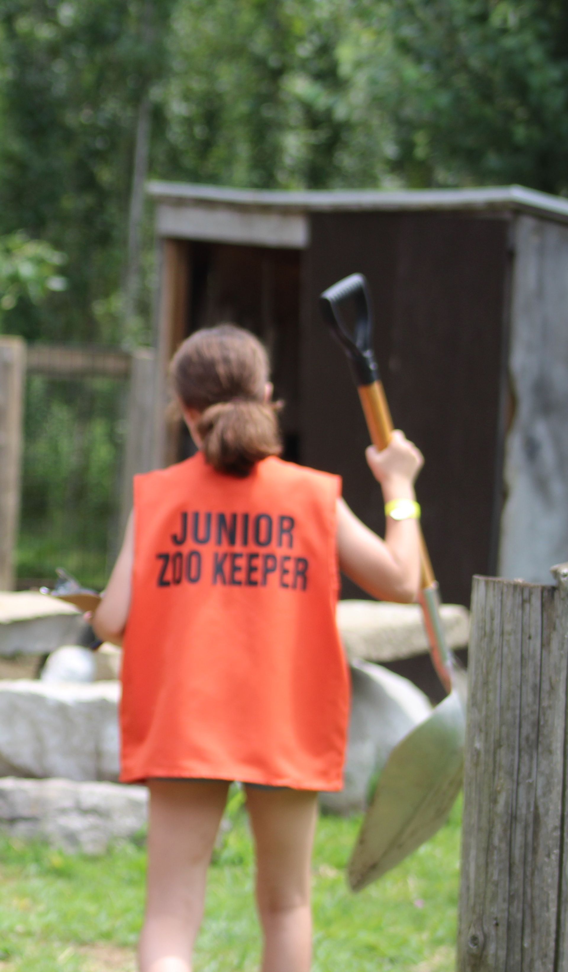 junior zookeeper