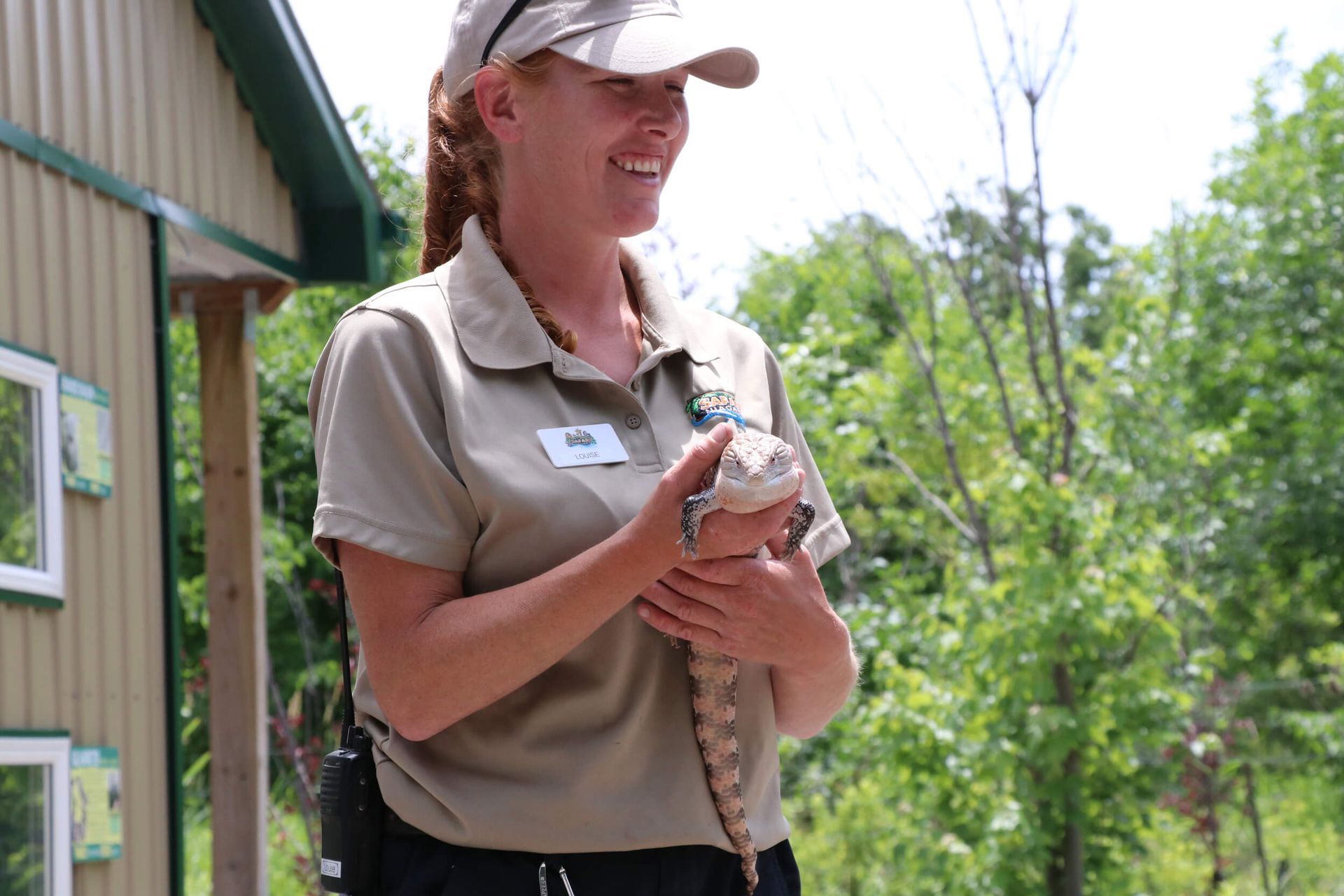 safari niagara zookeeper holding lizard at a niagara animal exhibit