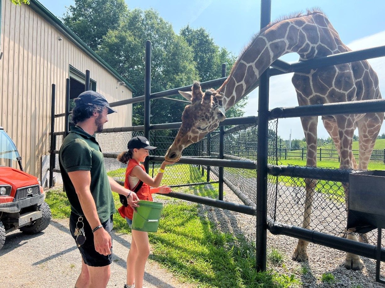 a boy and a girl are feeding a giraffe at an ontario zoological park