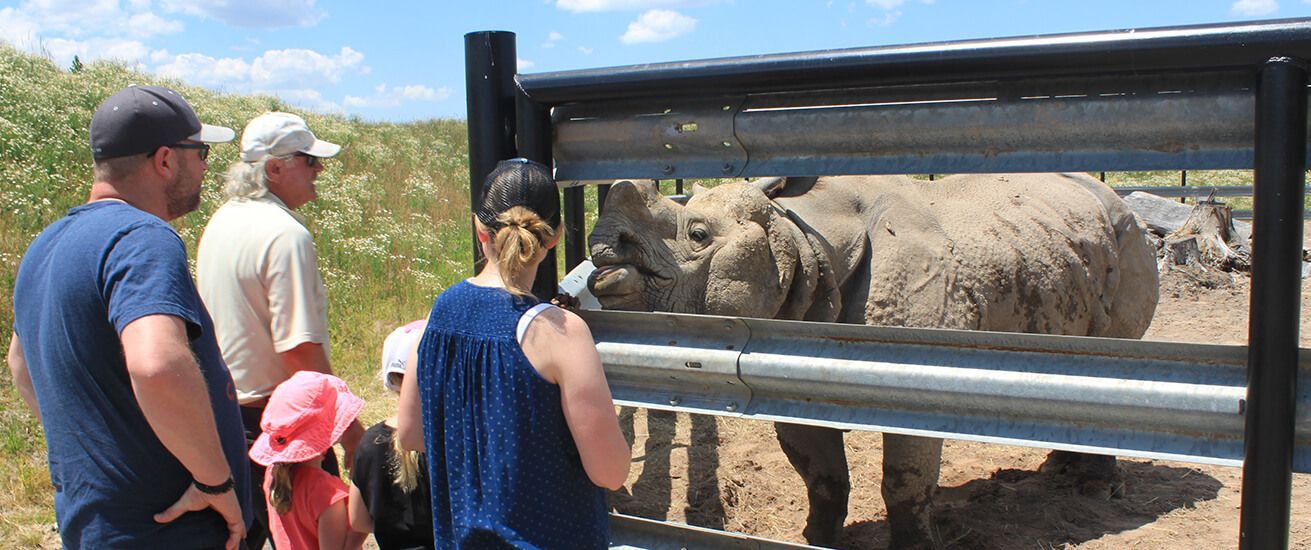 a group of people feeding a rhino during an interactive zoo experience niagara