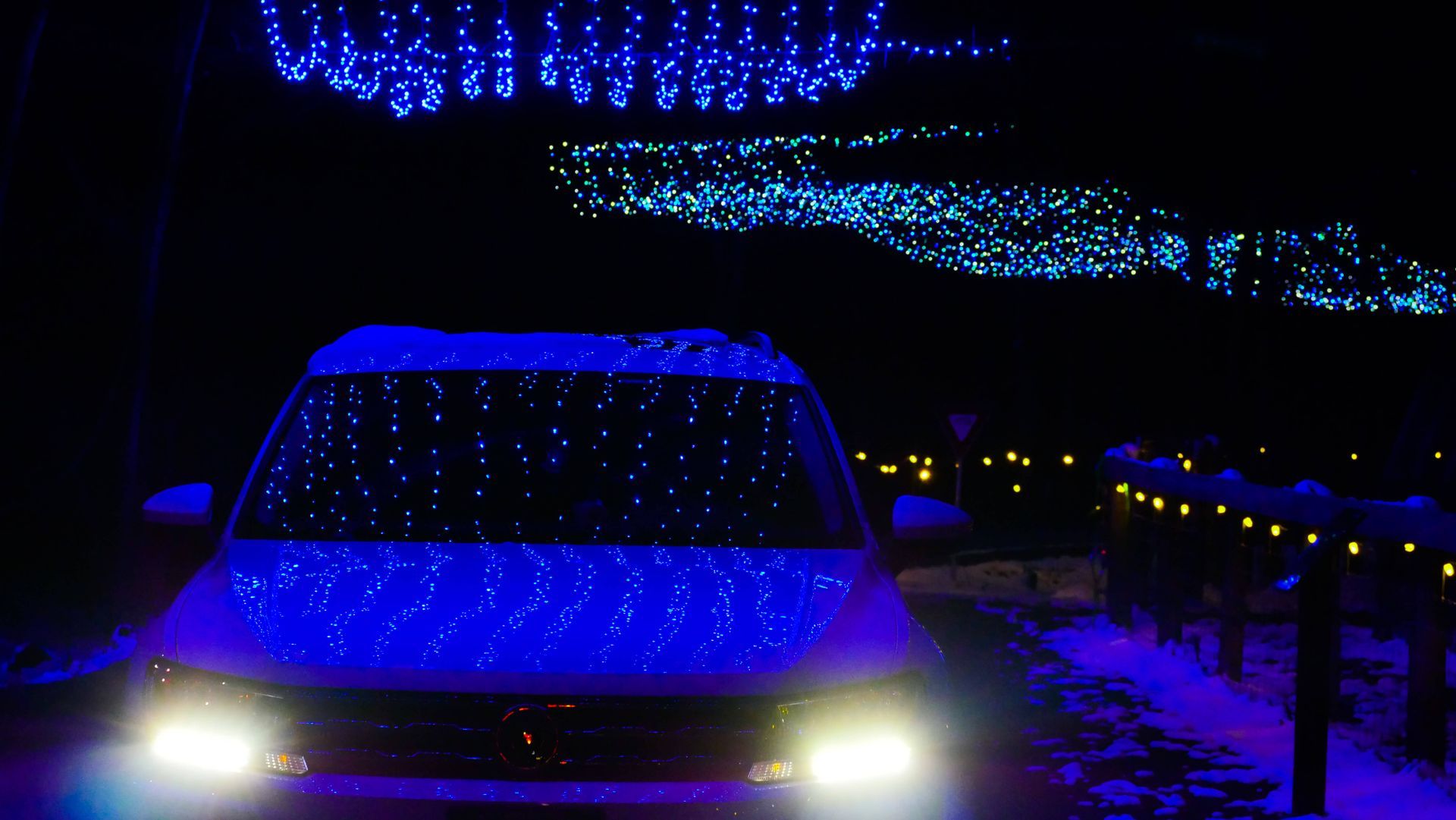 safari lights display at a niagara falls zoo attraction