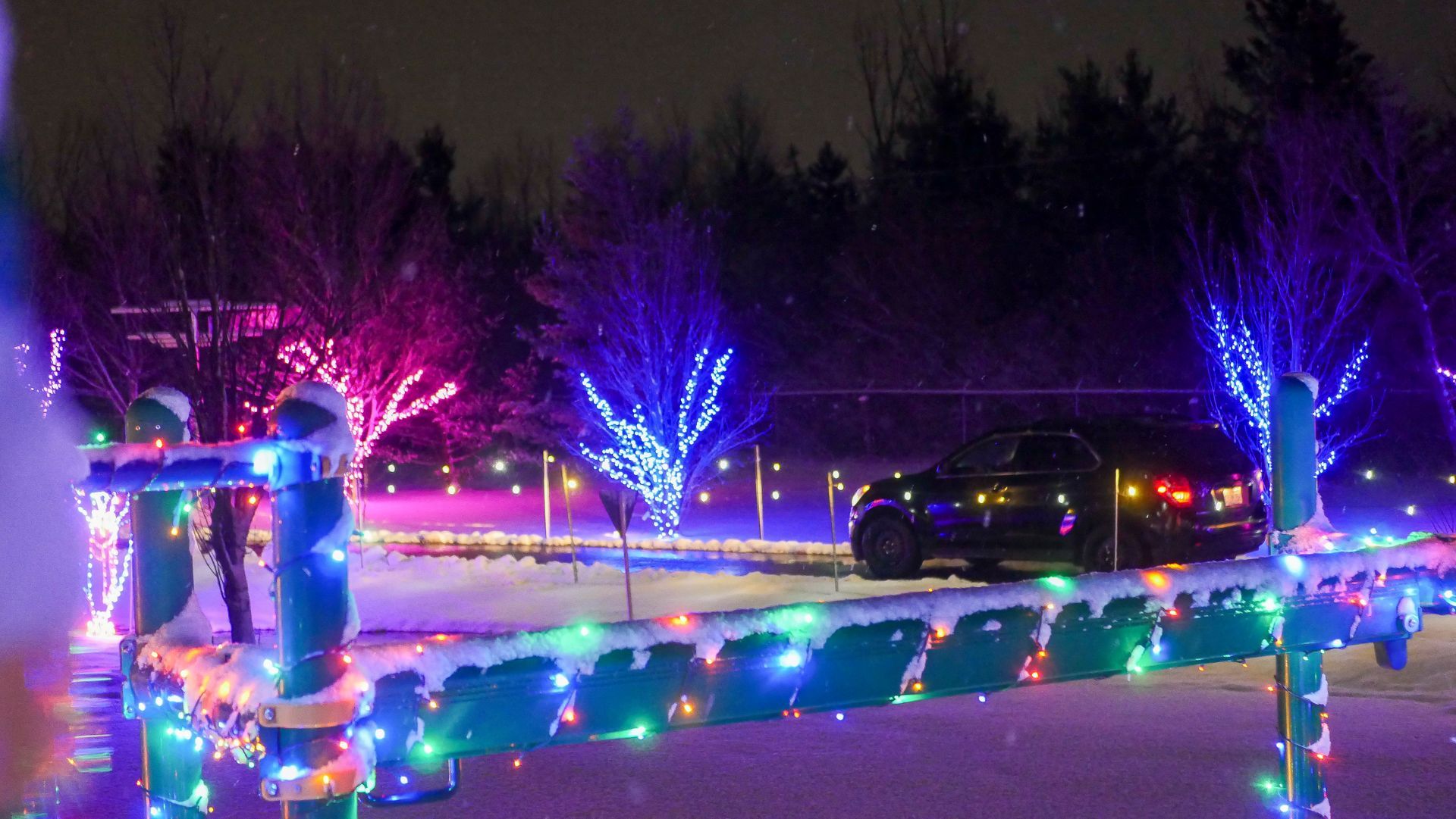 safari lights display at a niagara falls zoo attraction