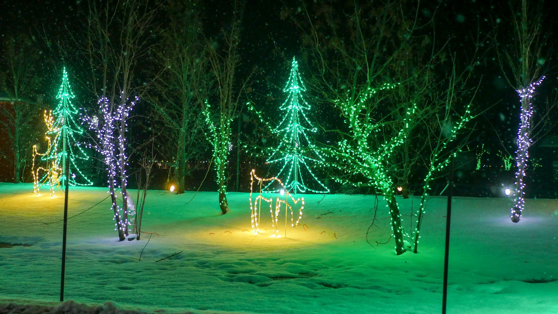 safari lights display at a niagara falls zoo attraction