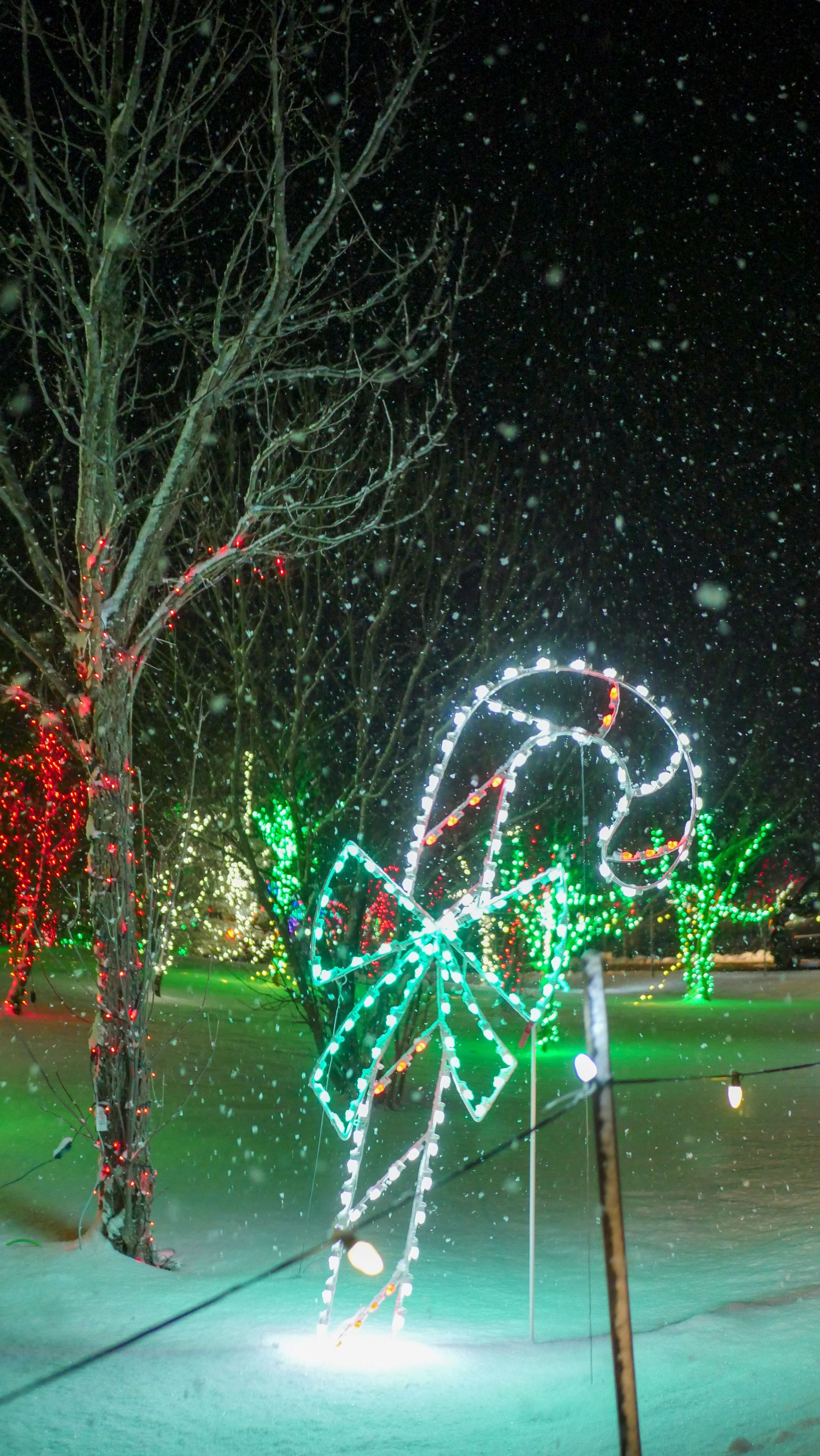 safari lights display at a zoo in niagara falls