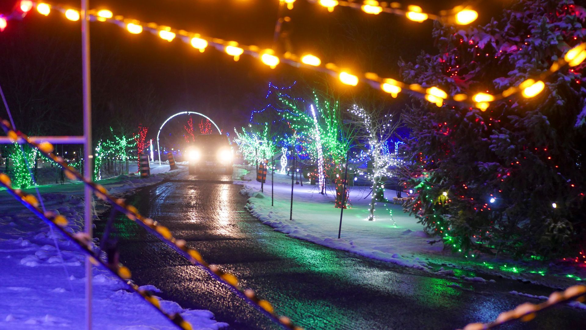 safari lights display at a niagara falls zoo attraction