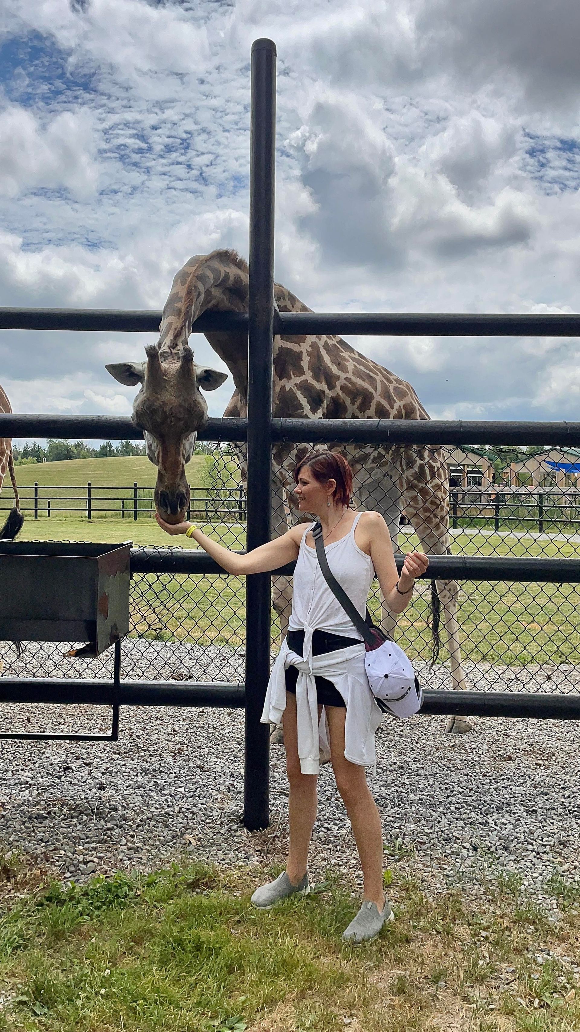 woman feeding giraffe during a behind the scenes at safari niagara interactive zoo experience niagara