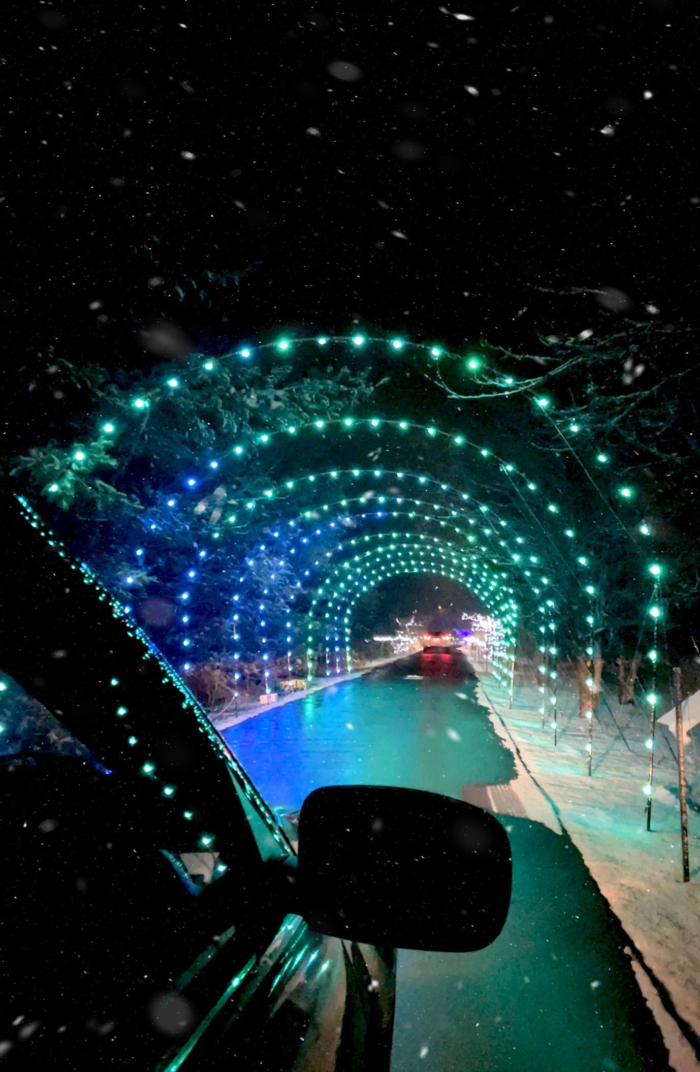 safari lights display at a niagara falls zoo attraction