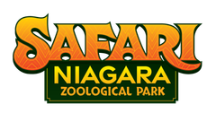 a logo for safari niagara in ontario canada