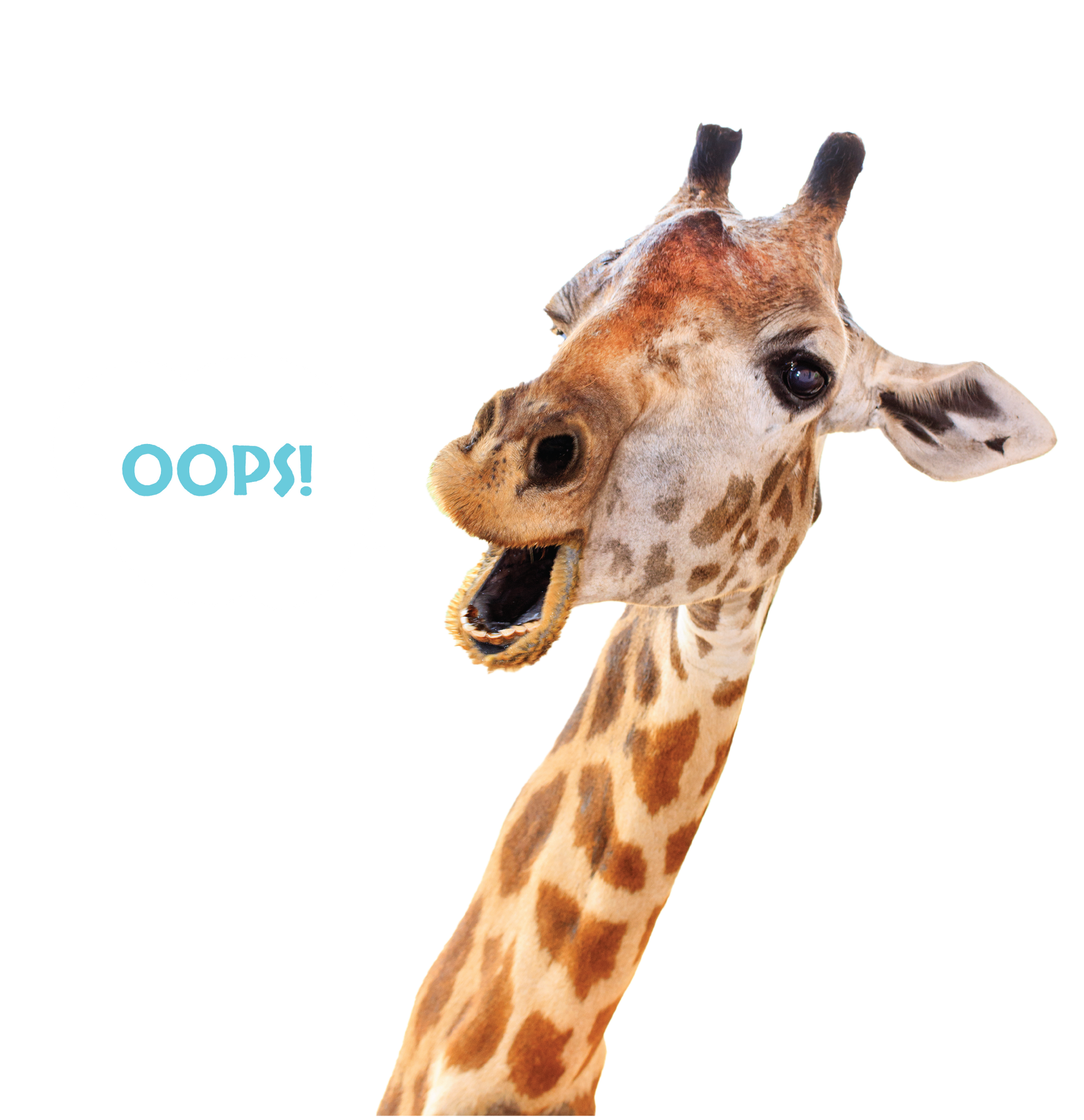 giraffe saying oops in safari niagara ontario