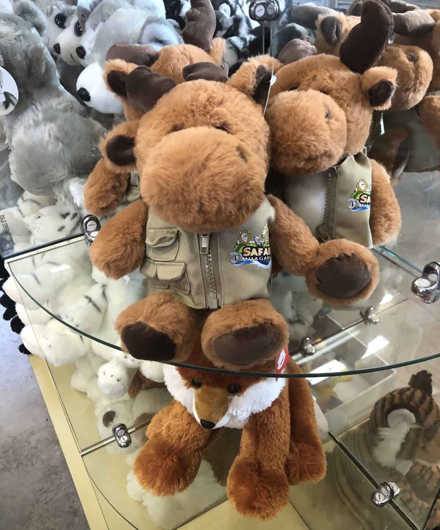 bear wearing safari niagara uniform at niagara safari park