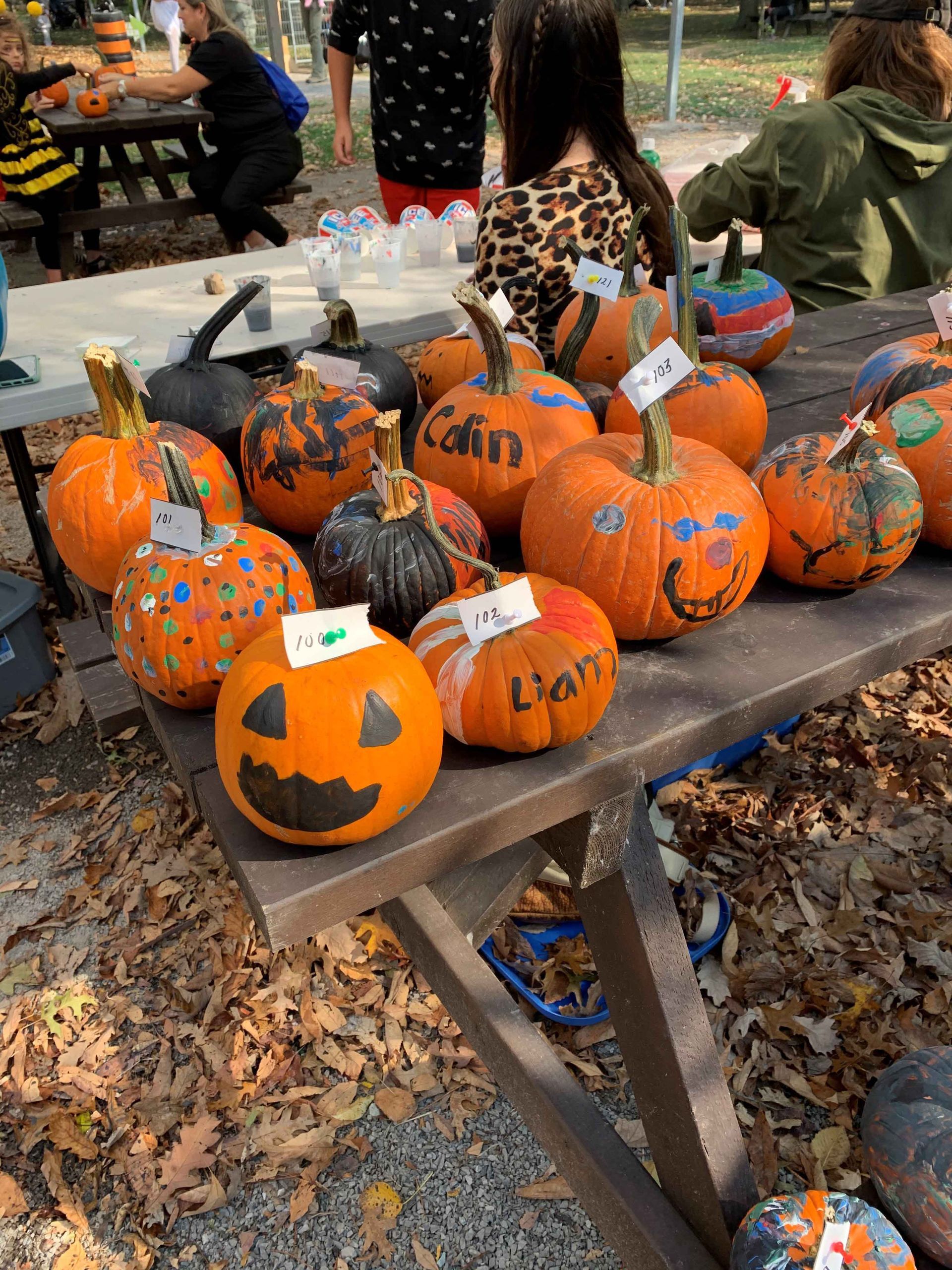 a bunch of decorated pumpkins on a picnic table during safari niagara's boo at the zoo event at a family-friendly zoo niagara